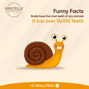 The sketch of a slug shows its rows of small teeth with its mouth open in a dental configuration.